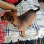 Profile Picture of Annick Daniel (@Annick-Daniel) on Facebook