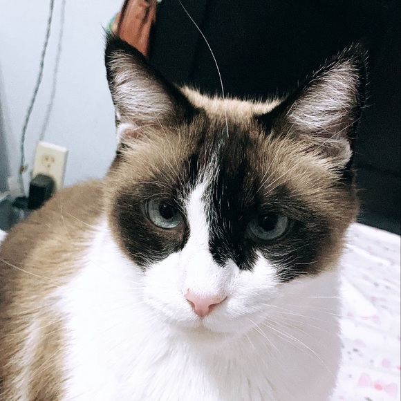 Profile Picture of Erwin Quiambao (@eqzav) on Poshmark