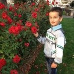 Profile Picture of Bujar Gutaj (@bujargutaj) on Instagram