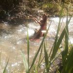 Profile Picture of Jennifer Luque (@lahniiniabad) on Instagram