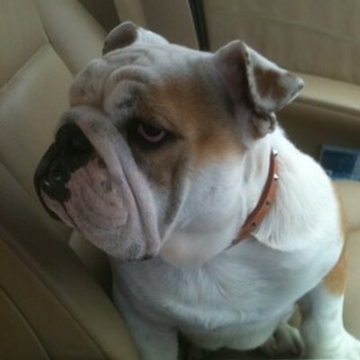 Profile Picture of James Cumberland (@scrapman_sr1) on Twitter