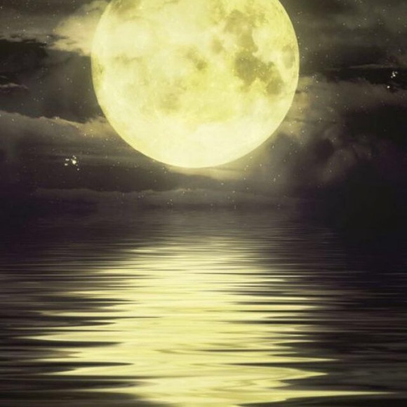 Profile Picture of Gemma Levine (@gemma345) on Poshmark