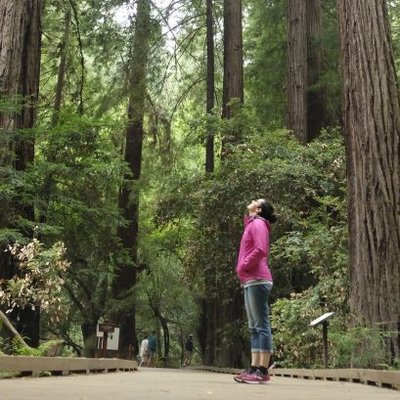 Erline O'Donovan-Clarke - Twitter Profile Picture of Erline O'Donovan-Clarke (@erline_clarke) on Twitter