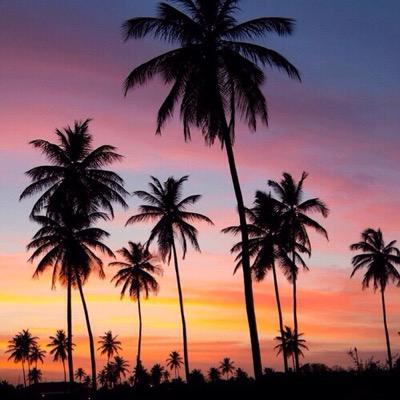 Profile Picture of Jose Luis Oregel (@OregelJunior) on Twitter