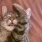 Profile Picture of Dobric Perica (@celinactukovi) on Youtube