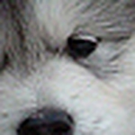 Profile Picture of Lesa Campbell-brown (@just starting out!) on Flickr