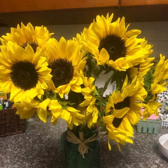 Profile Picture of Jackie Pioli (@jpioli77) on Poshmark