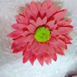 Profile Picture of Rajul jain (@rajuludapurkar) on Instagram