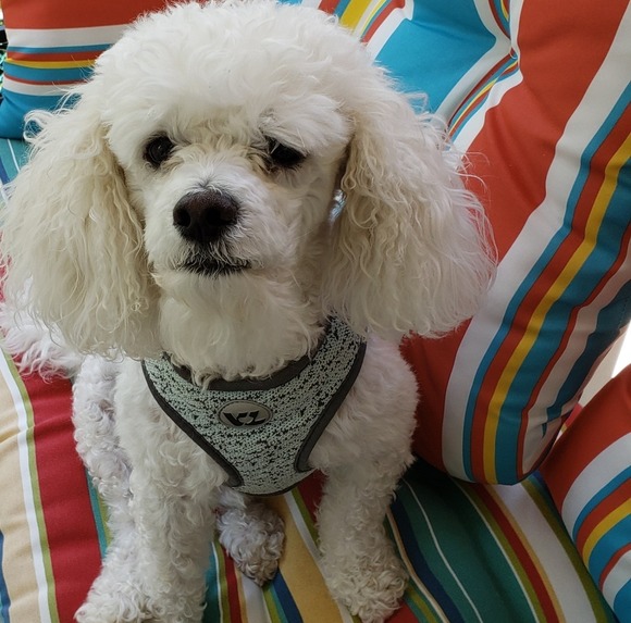 Profile Picture of Nancy Bunting (@nancybunting51) on Poshmark