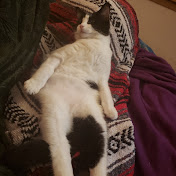 Profile Picture of Coleman Mitchell (@OxViking) on Youtube