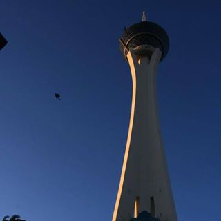 Winifred Faye - Facebook Profile Picture of Winifred Faye (@Winifred-Faye) on Facebook