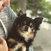 Profile Picture of Brian Bartholomew (@brianbartholomew3130) on Youtube