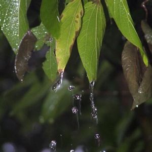 Profile Picture of Mandi Hughes (@photosbymandi) on Myspace