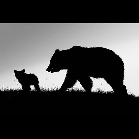 Profile Picture of Fabian Barboza (@fabianbarboza44) on Poshmark