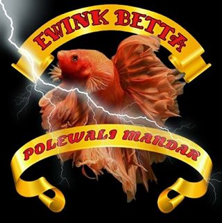 Profile Picture of Ewink Syaputra (@kevin.syaputra.505523) on Facebook