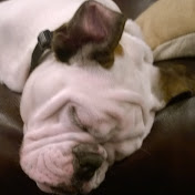 Profile Picture of Bartman07 (@bartman07) on Youtube