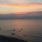 Michelle Candy - Instagram Profile Picture of Michelle Candy (@candyk24) on Instagram