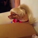 Profile Picture of nicholas britell hive (@bich_house) on Instagram