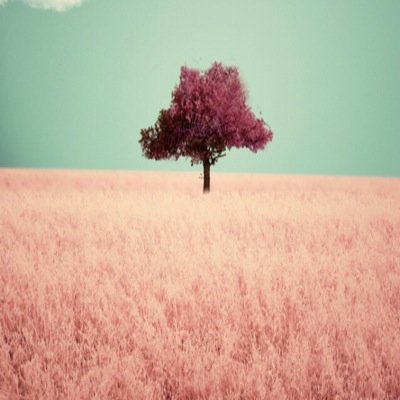 Profile Picture of Sinou (@Esinou) on Twitter