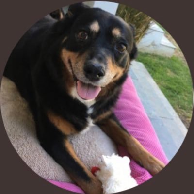 Profile Picture of Lorene Scafaria (@@LoreneScafaria) on Twitter
