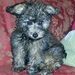 Profile Picture of Lisa Chenier (@chenierlisa1) on Pinterest