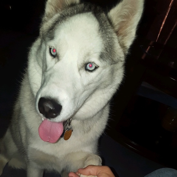 Profile Picture of Aaron Olivas (@aaron8788) on Poshmark