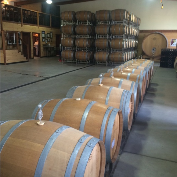 Profile Picture of John Christadore (@jchristadore) on Poshmark