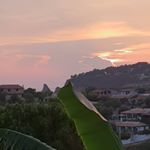 Profile Picture of Alex Cardillo (@sandro_alex_6) on Instagram