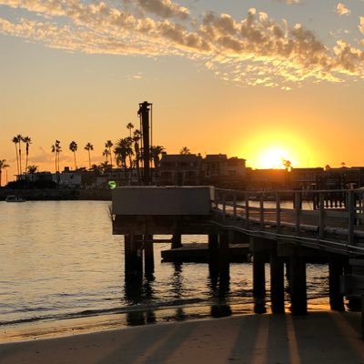 Profile Picture of Sean Loughlin (@Sean_Loughlin) on Twitter