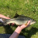 Profile Picture of Kreth (@keithgoesfishing) on Instagram