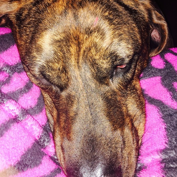 Profile Picture of Carly Ross (@carlyross122) on Poshmark