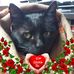 Profile Picture of Lilian Matto (@lilian.matto.1) on Facebook