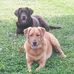 Profile Picture of Cheryl Pryor (@cheryl.pryor.1654) on Facebook