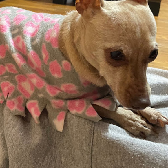 Profile Picture of Alejandro Olmos (@aleolmos69420) on Poshmark