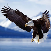 Profile Picture of Dillon Potter (@dillonpotter1159) on Youtube