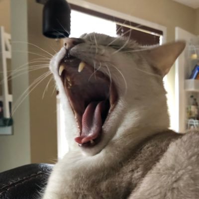 Thomas Otteson - Twitter Profile Picture of Thomas Otteson (@otteson_thomas) on Twitter