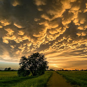 Profile Picture of Carito.- (@carito.-9399) on Youtube