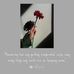 Profile Picture of Mitch Adamson (@mitch.adamson.395) on Facebook