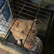 Profile Picture of Alex Cooksey (@AlexCooksey) on Youtube