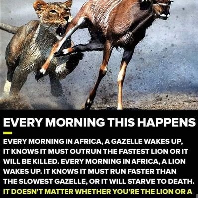 Profile Picture of Ivan Gates (@IvanGates9) on Twitter