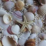 Profile Picture of Alberta Fioni (@albertafioni) on Instagram