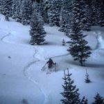 Deborah froeb - Instagram Profile Picture of Deborah froeb (@deborahfroeb) on Instagram