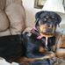 Profile Picture of Barbara Holcomb (@barbara.holcomb.3994) on Facebook