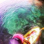 Profile Picture of Nuno Caetano (@nunofmcaetano) on Instagram