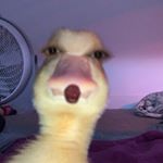 Profile Picture of S (@skyler_jackson._) on Instagram