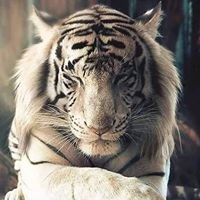 Profile Picture of Jesse Parent (@jesse-parent-2) on Quora