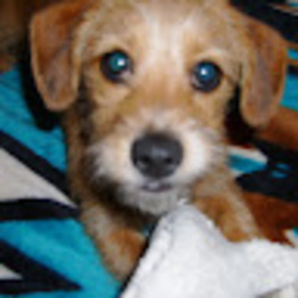 Sylvia Jordan - Poshmark Profile Picture of Sylvia Jordan (@sjordanorama) on Poshmark