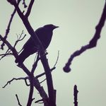 Profile Picture of Lisa Faulkner (@lisafaulkner666) on Instagram