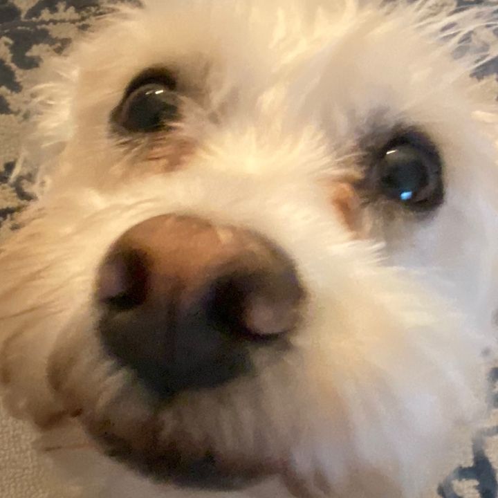 Profile Picture of Ew (@carrieniebsadrinkk) on Tiktok