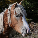 Profile Picture of Michi Key (@michi key) on Flickr